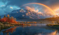 Featured image of post 撒哈拉的故事